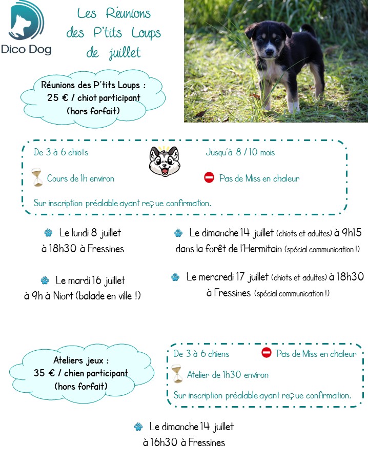 Ateliers jeux et cours collectif chiots de juillet