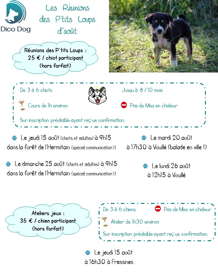 Cours collectifs et ateliers jeux chiots