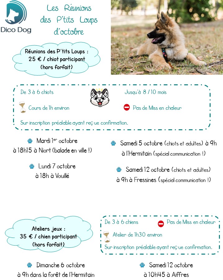 Activités cours collectifs chiots