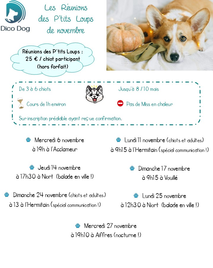 Cours collectifs chiots