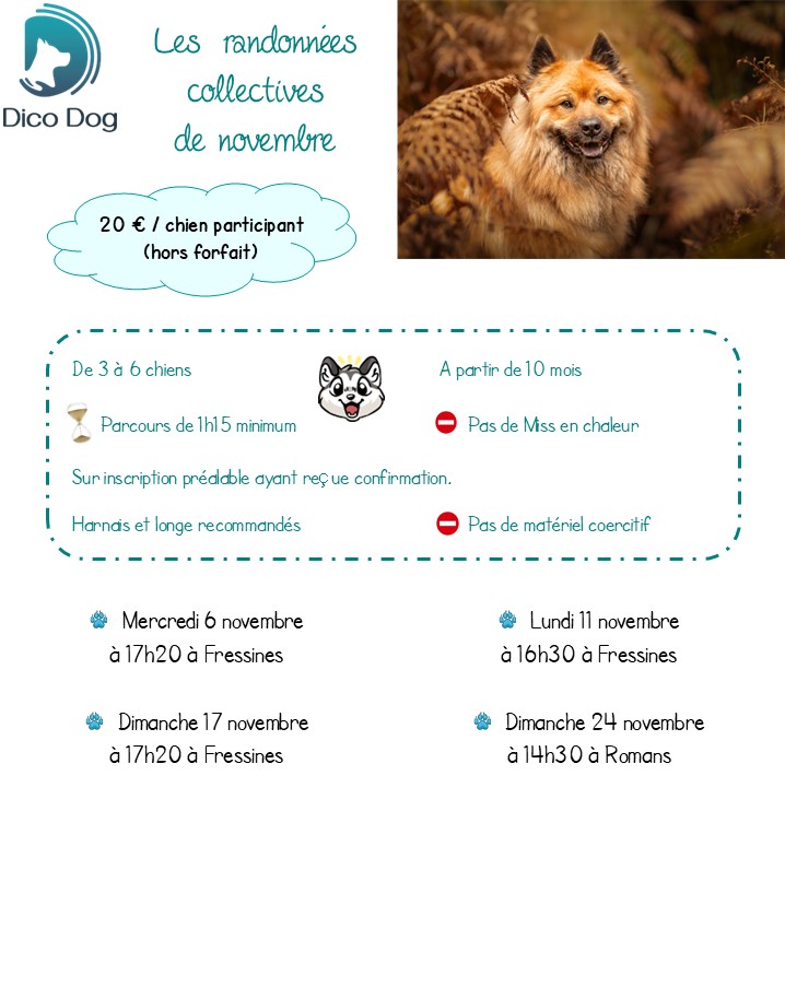 Randonnées canines