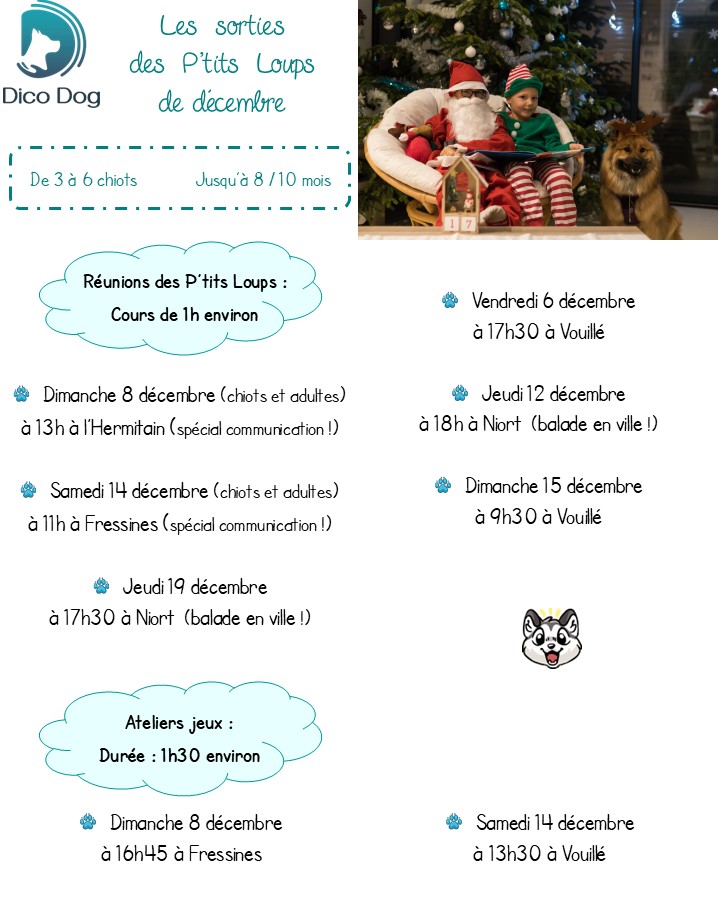 Cours collectifs et ateliers jeux chiots