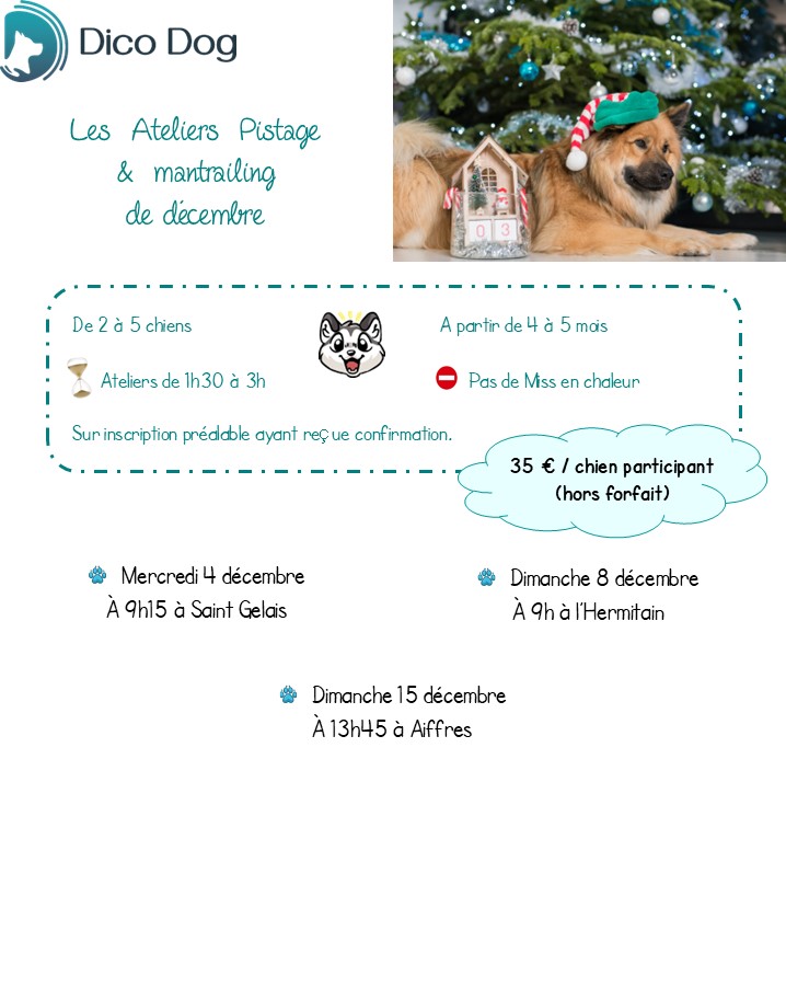 Ateliers mantrailing chiens