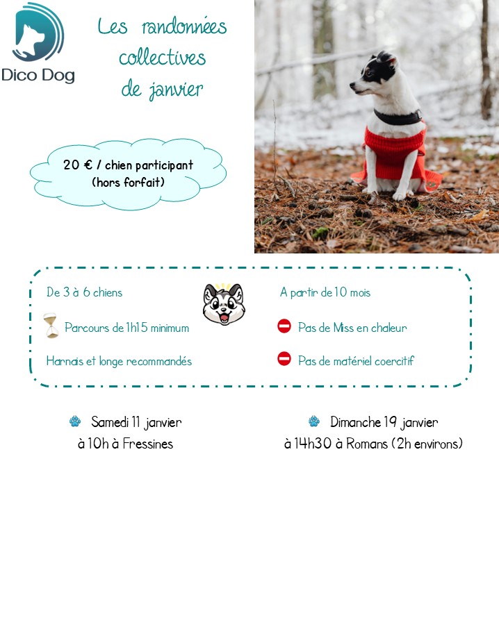 randonnées canines janvier