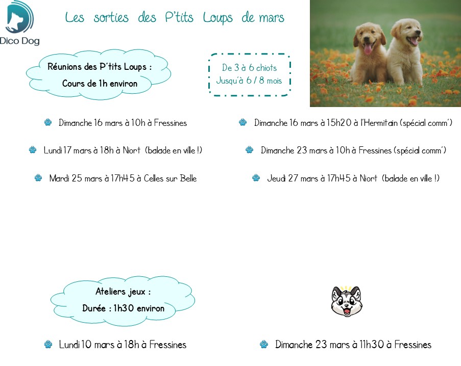 Cours collectifs pour chiots mars