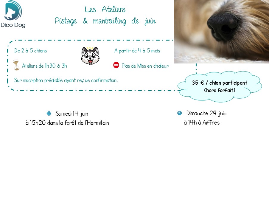 Ateliers mantrailing juin