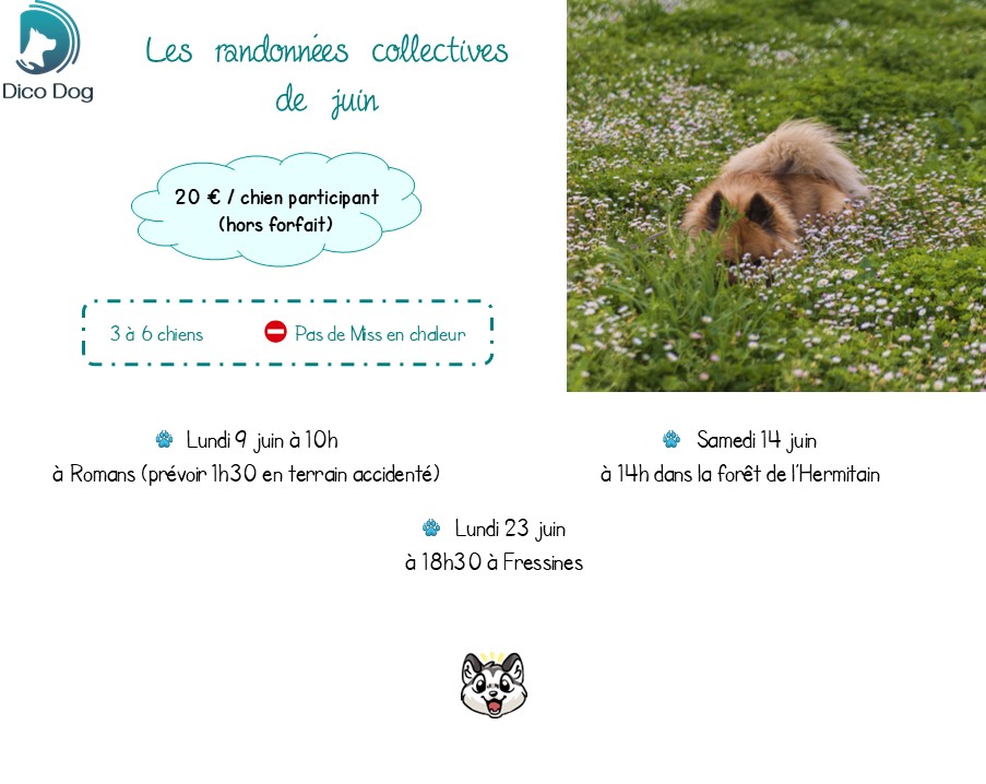 Randonnées canines