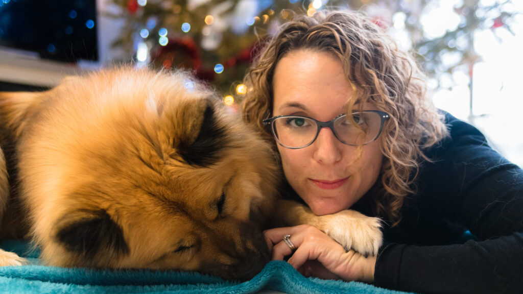 Dico dog soins coopératif medical training comportement canin anxiété de séparation