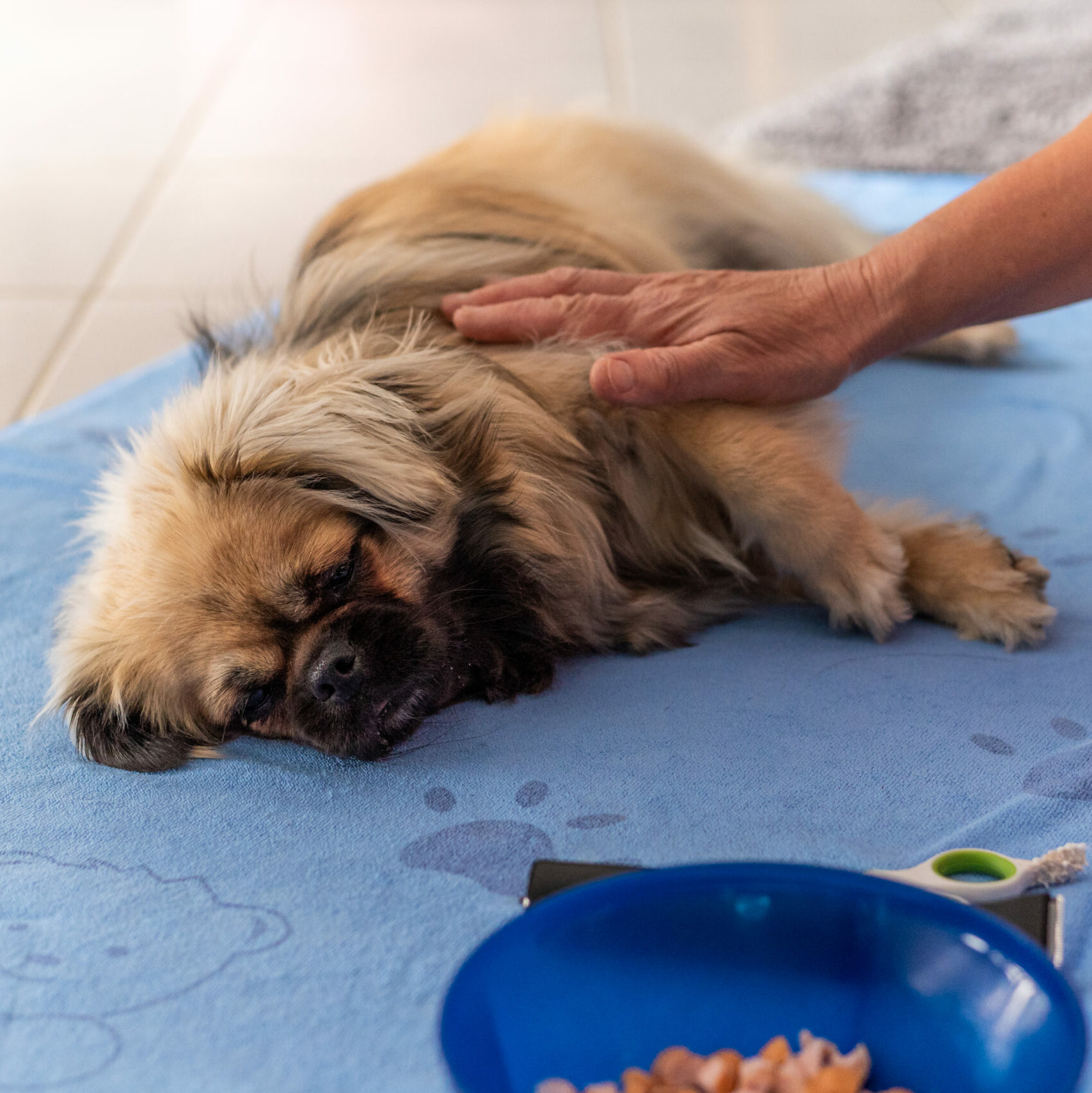 Medical training et soins coopératifs