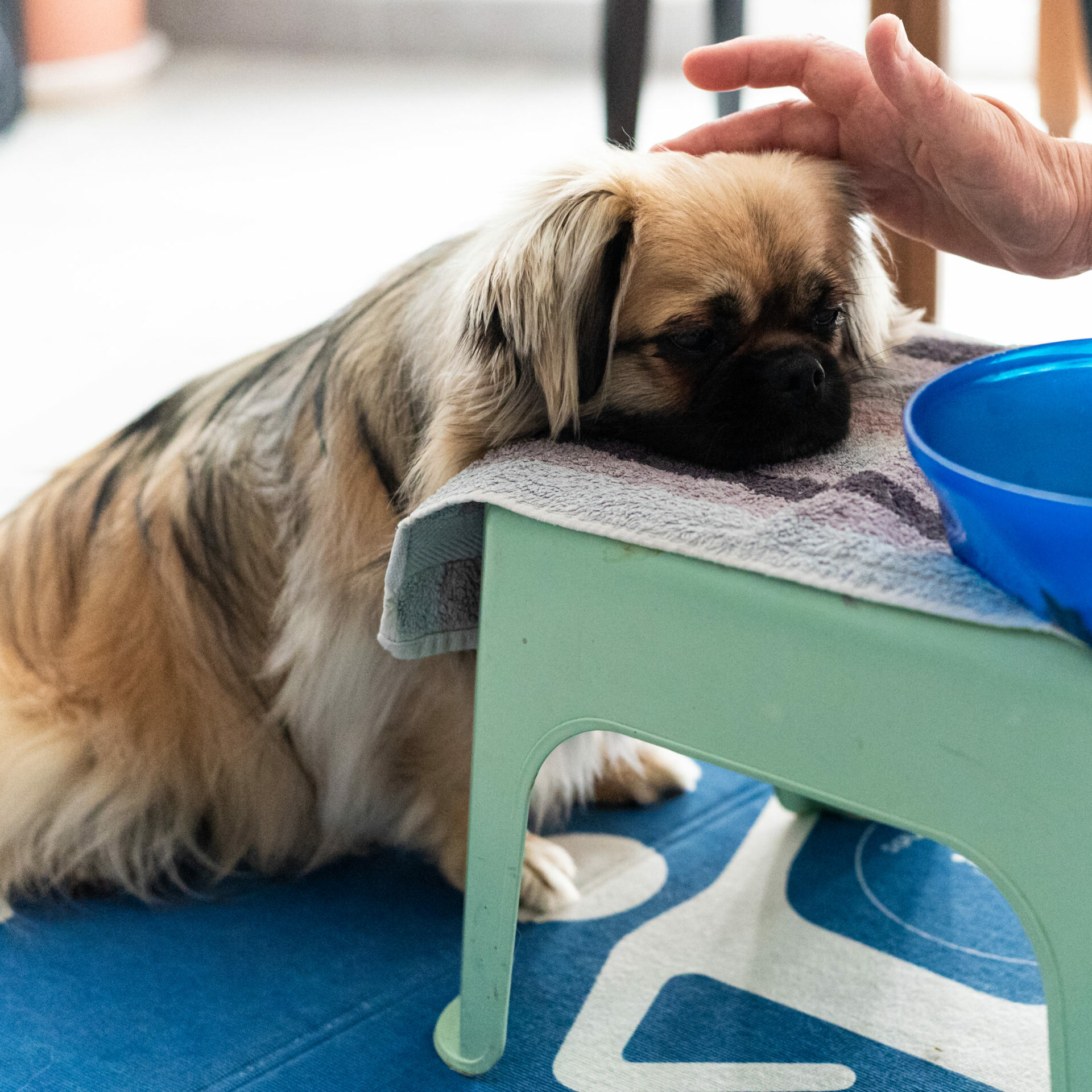 Soins coopératifs et medical training