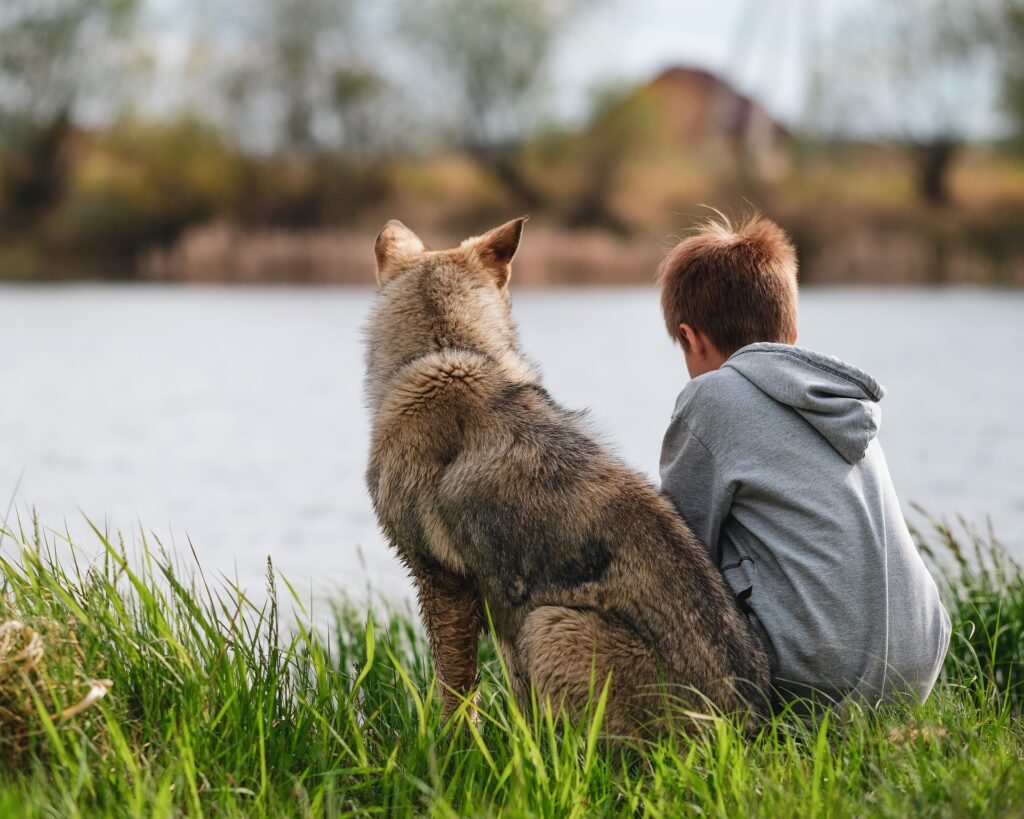 Chien assis au bord de l'eau avec un enfant - Confiance et complicité
