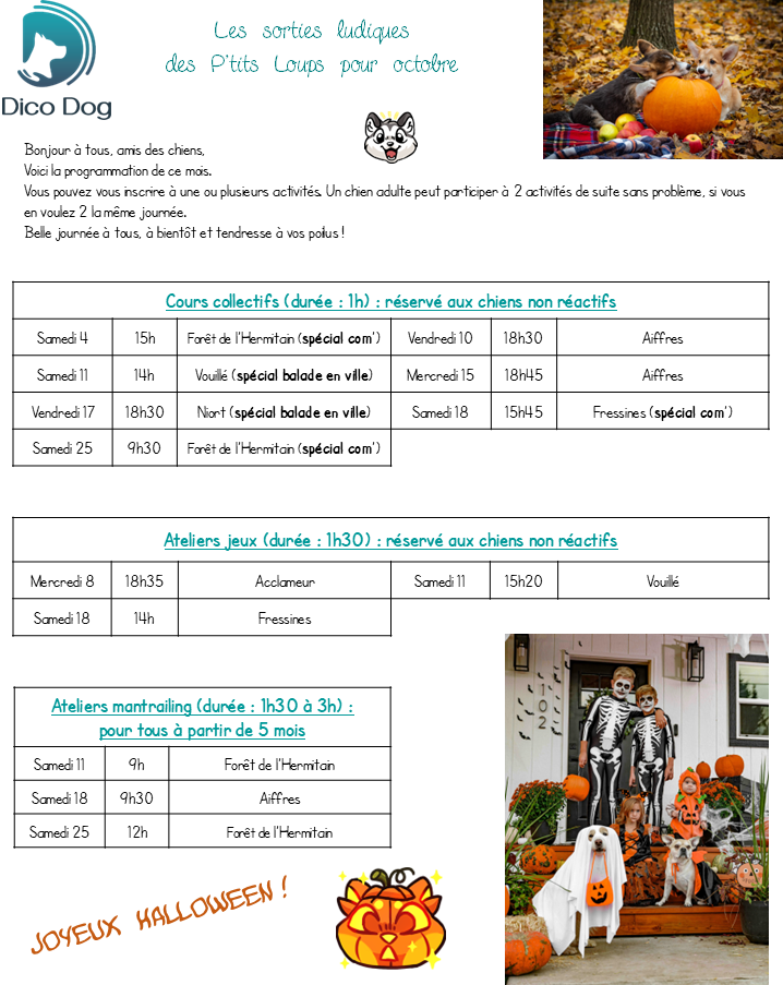 activités ludiques pour chiots d'octobre