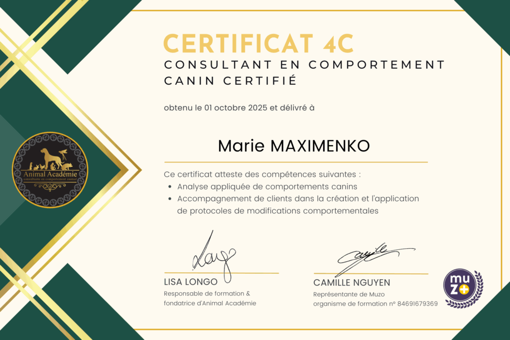 Dico Dog Consultante en comportement canin certifiée