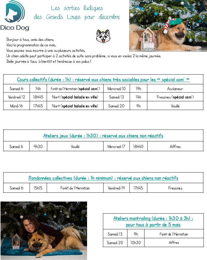 Activités ludiques collectives canines Dico Dog