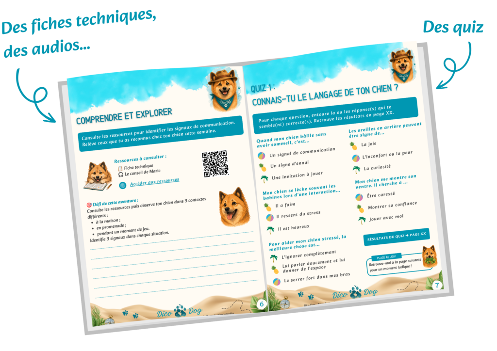 Contenu du cahier de vacances