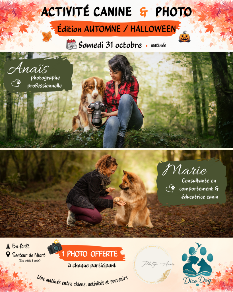 Activité Canine & Photo - Octobre 2026