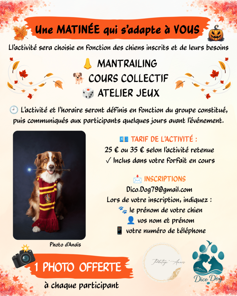 Activité Canine & Photo - Octobre 2026