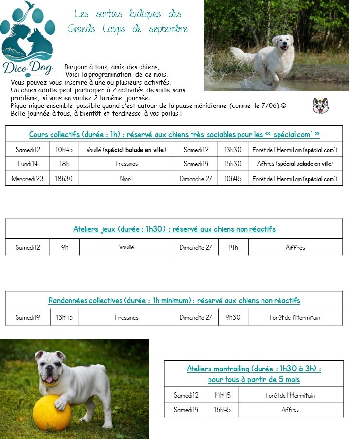 Sorties ludiques collectives de Dico Dog