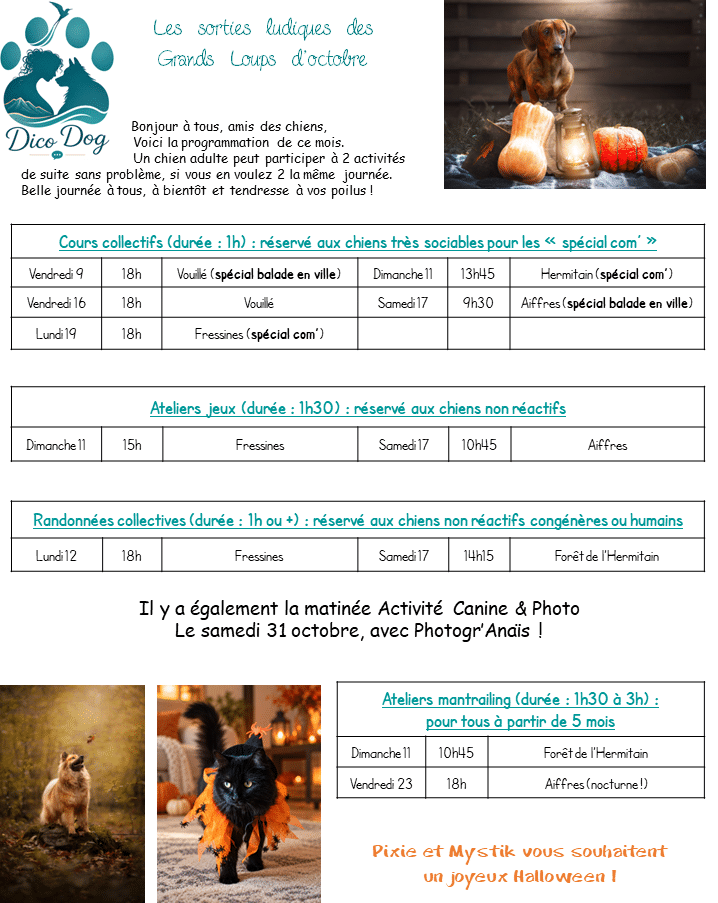 Activités ludiques de Dico Dog pour le mois d'octobre